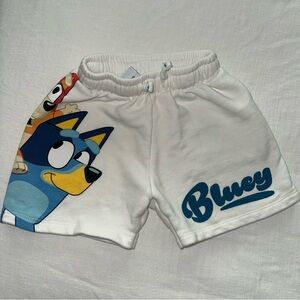 Zara White and Blue Athletic Shorts